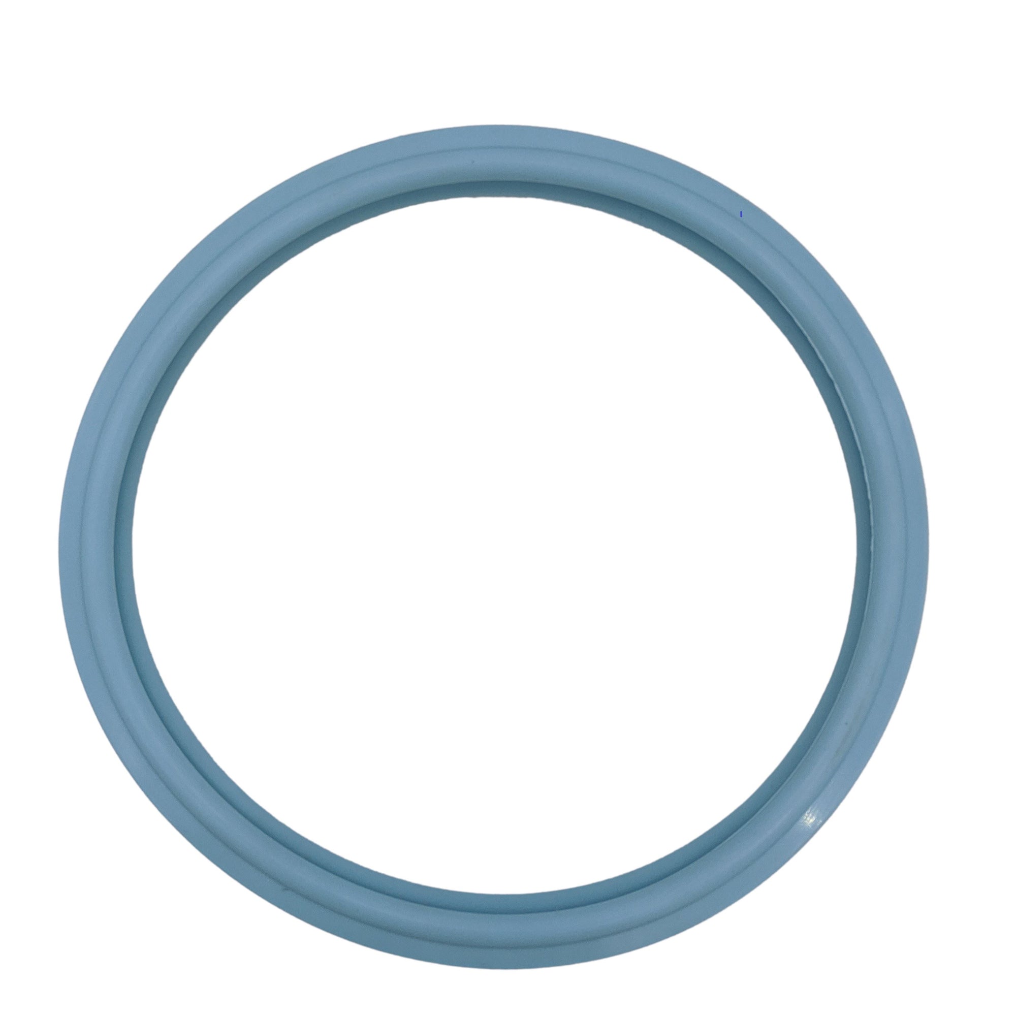 Pentair 79101600Z Pool Lens Gasket 8 1/2 inch diameter Home & Garden > Pool & Spa Pentair 