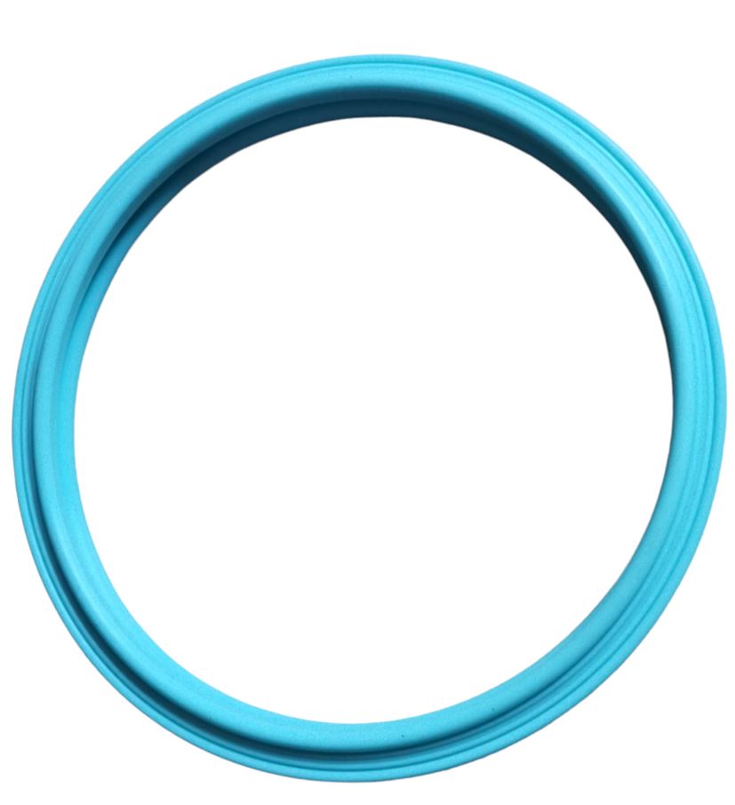 PoolTone gasket for Zodiac R0790500 Jandy Pool Lighting System Home & Garden > Pool & Spa Jandy Zodiac 